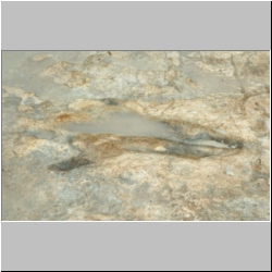 05-px84b-11-1(IIS+4) mod.jpg